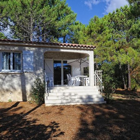 Apartament Domaine De Pianiccia Favone Zewnętrze zdjęcie