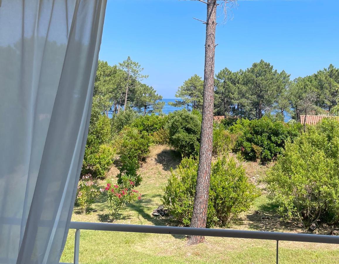 Apartament Domaine De Pianiccia Favone Zewnętrze zdjęcie
