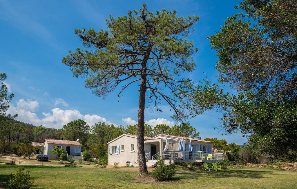Apartament Domaine De Pianiccia Favone Zewnętrze zdjęcie
